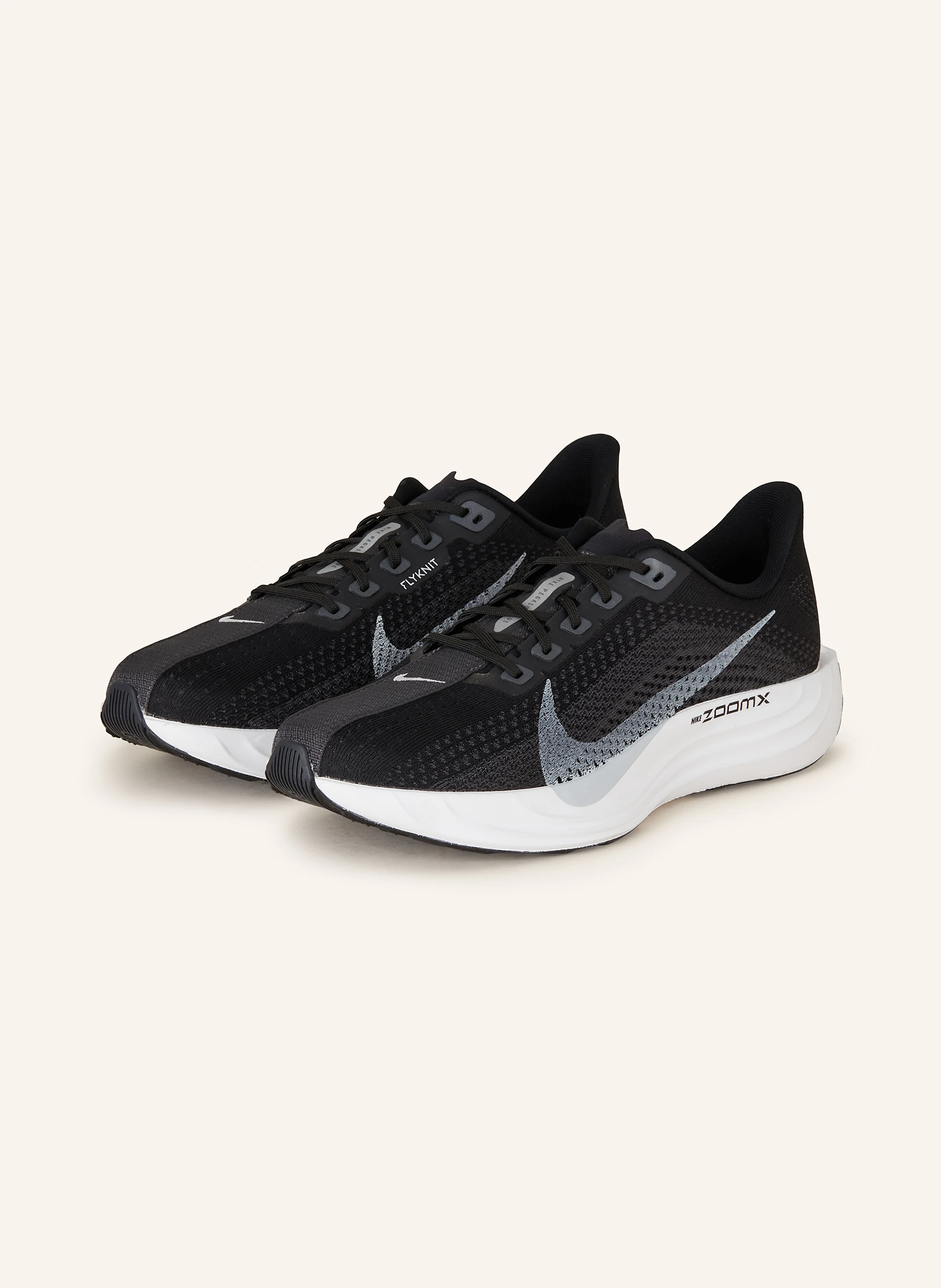 Nike Laufschuhe PEGASUS PLUS