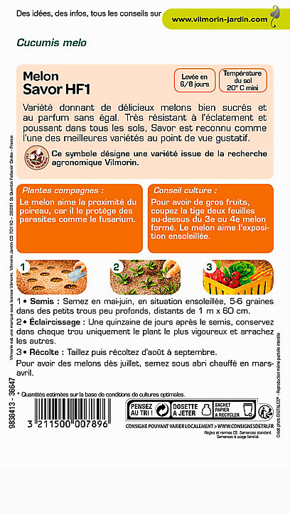 Graines de Melon Savor Hybride F1 Vilmorin