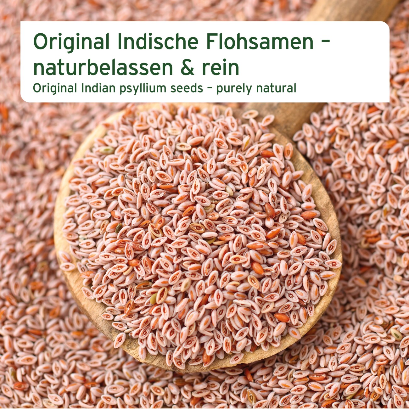 AniForte Indische Flohsamen 3kg