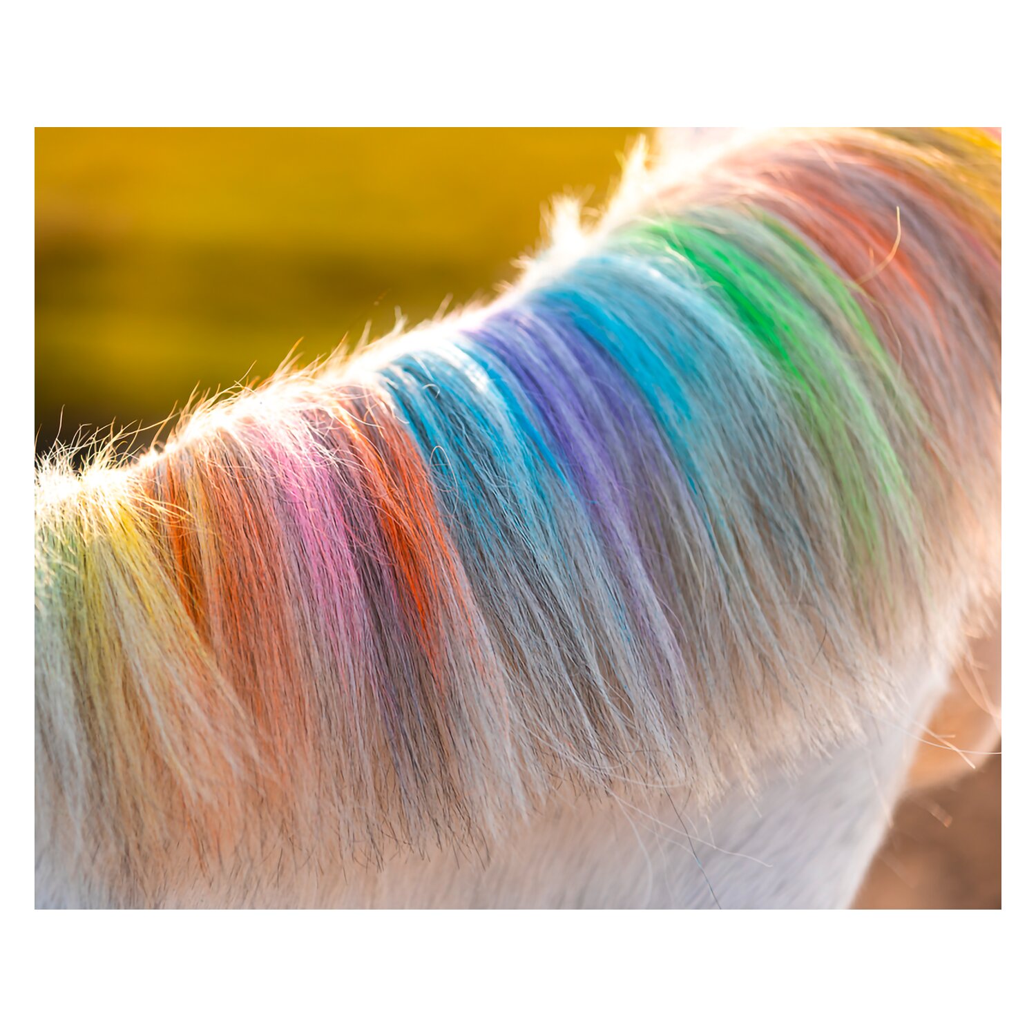 Regenbogenfarbige Kreide Lucky Horse Unicorn