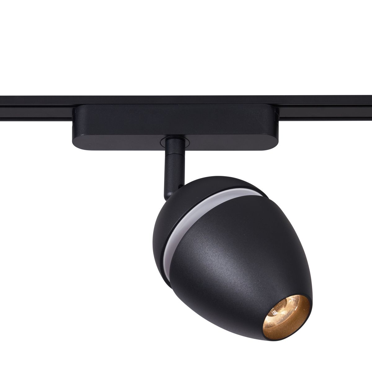 Railsysteem met 6 spots en 2 hanglampen zwart 1-fase - Magnetic Eggy
