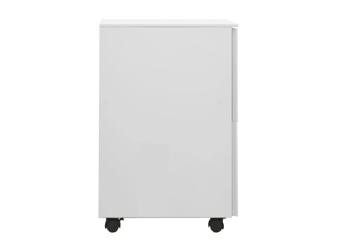 Classeur mobile Gris clair 39x45x67 cm Acier