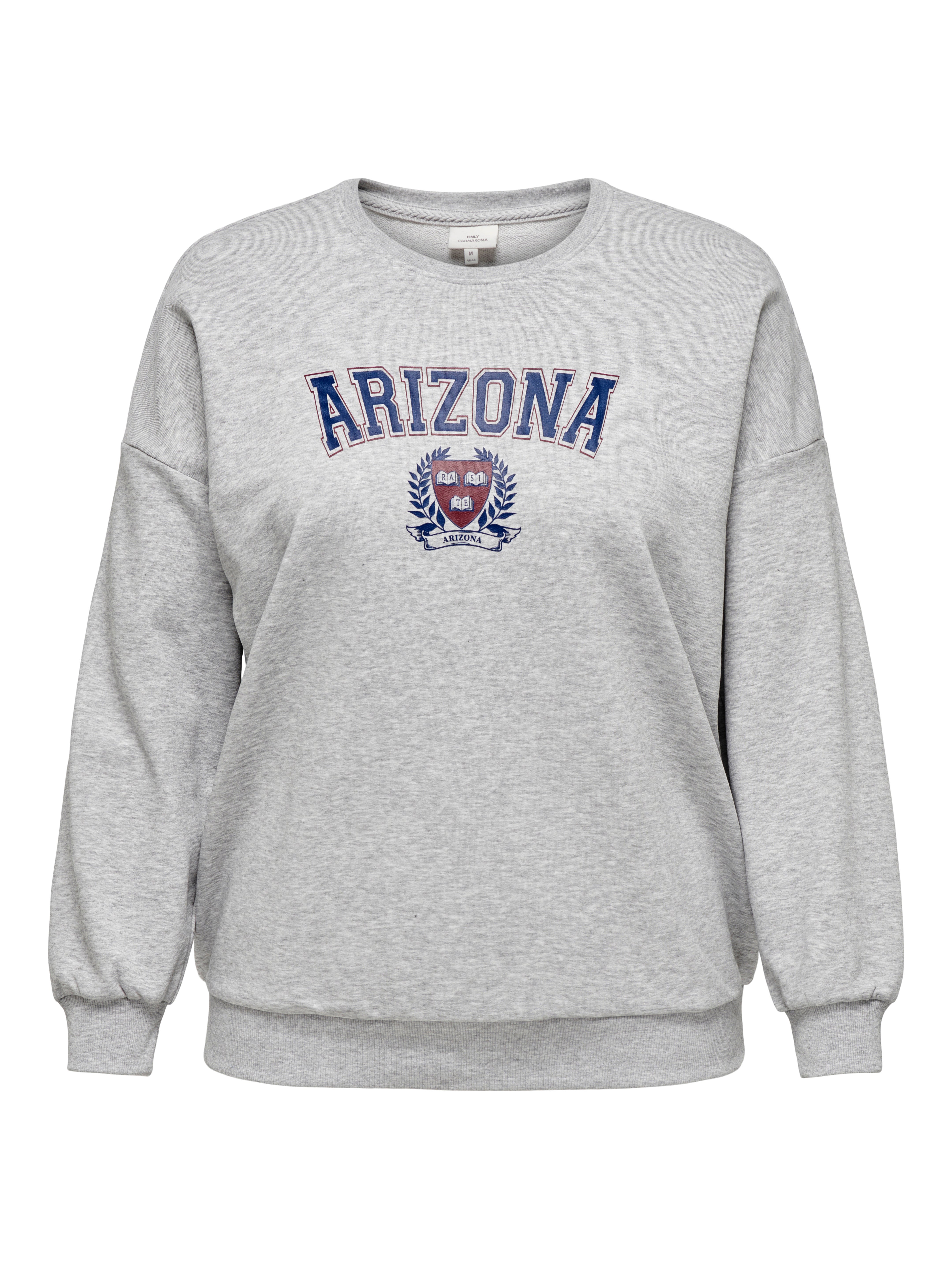 CARCOLLEGE Sweatshirt Light Grey Melange