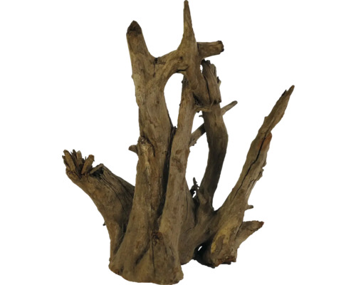 Aquariumdecoratie Corbo wortel klein ca. 30-35 cm, aquariumwortel, bruin hout