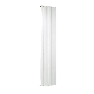 Radiateur Aquadécor sp vertical 1134 W L.45 x H.200