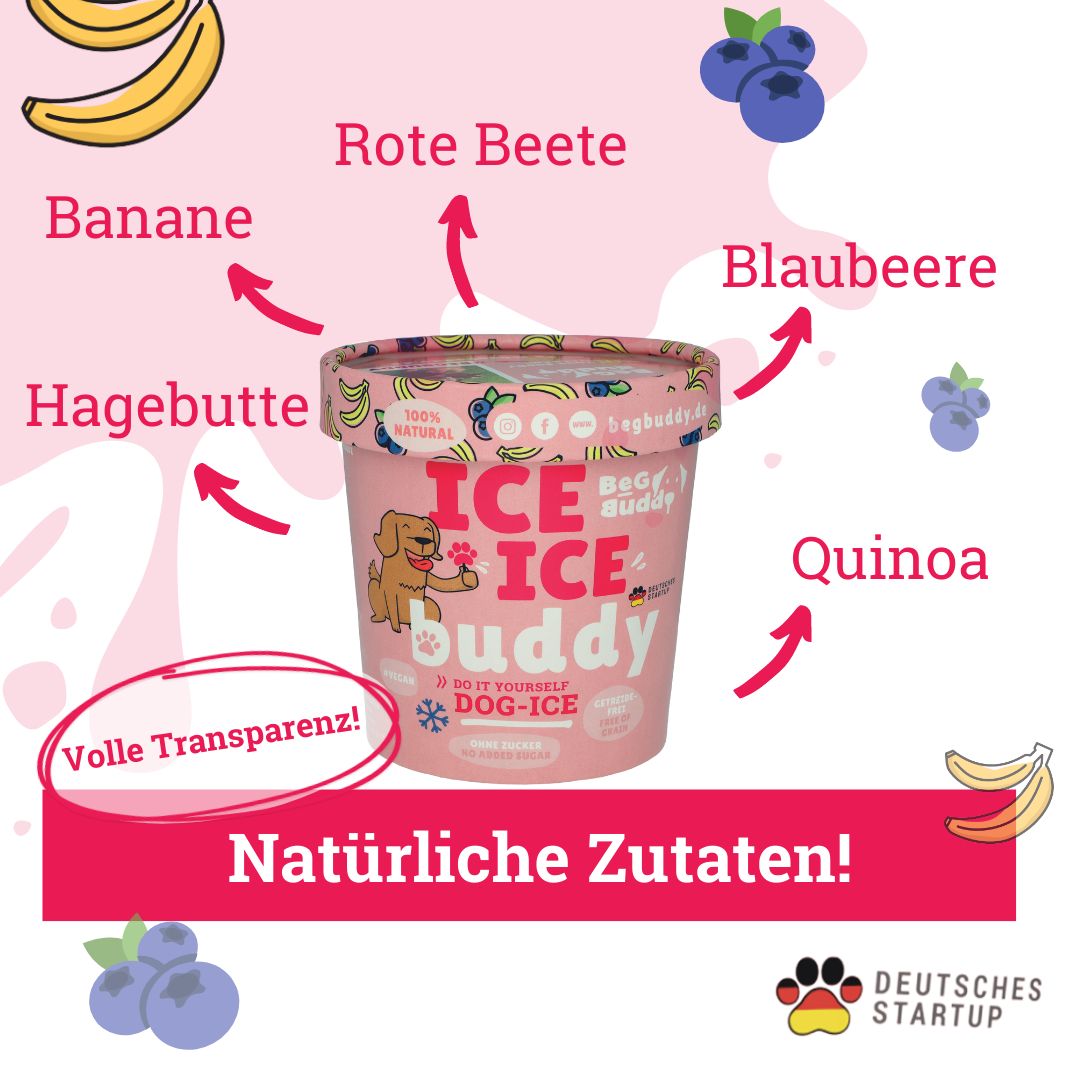 BeG Buddy Eis für Hunde, Eispulver Blaubeere