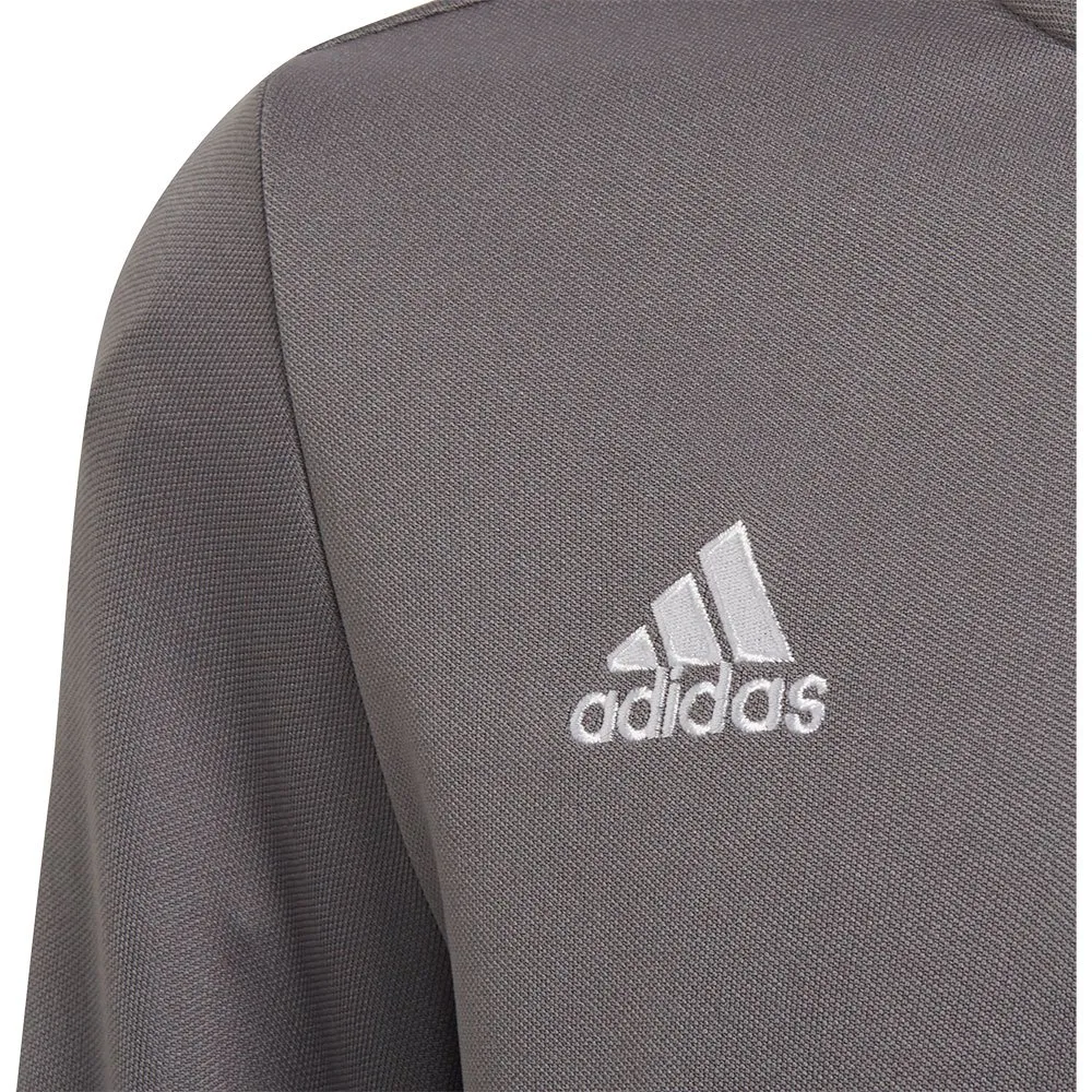 Moletom de treino adidas Entrada 22