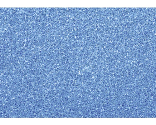 Filterschuim PAPILLON grof 50x50x5 cm blauw
