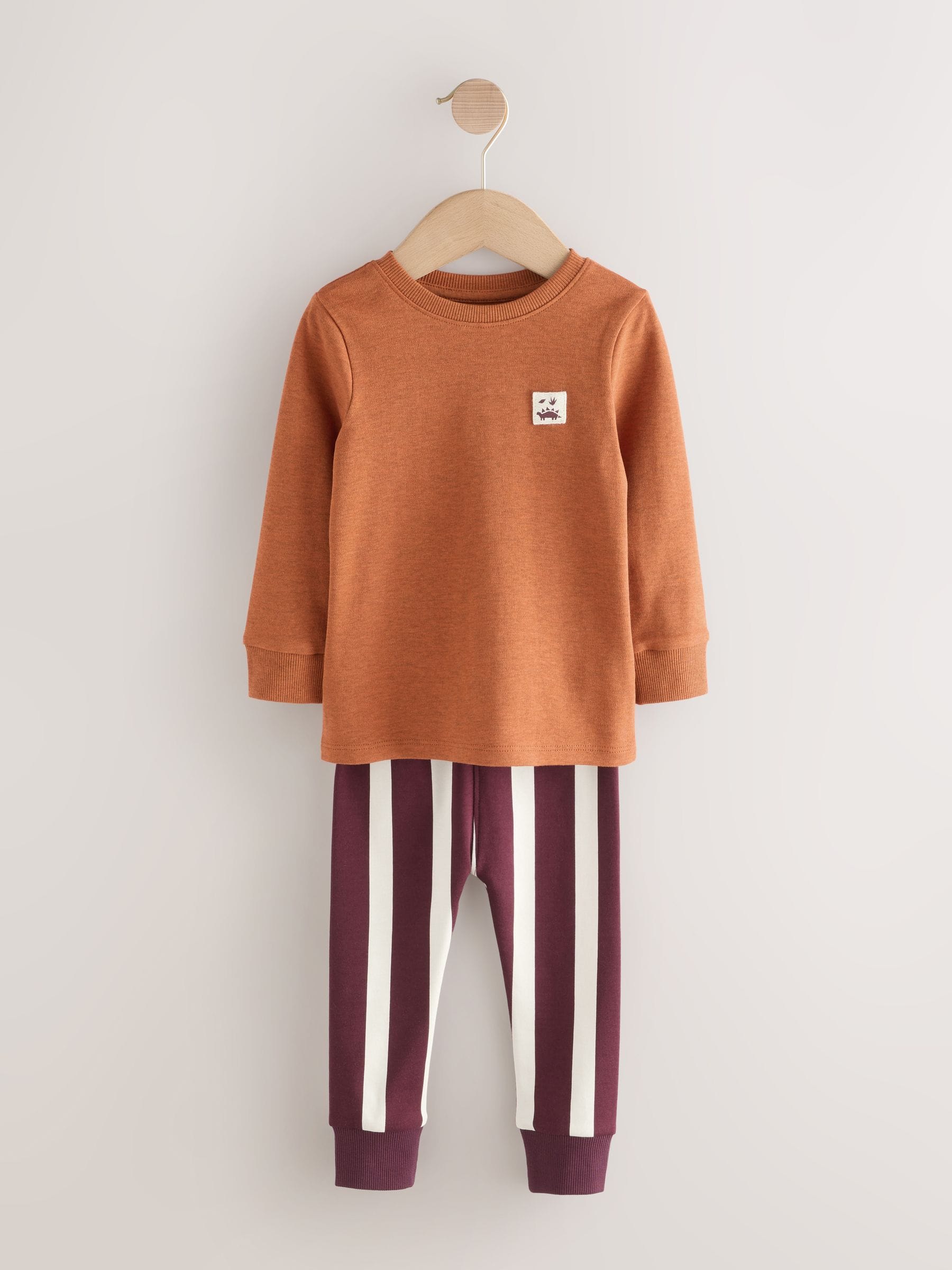Meerdere felle kleuren met dino - Verpakking van 3 knusse pyjama's (9 mnd-10 jr)