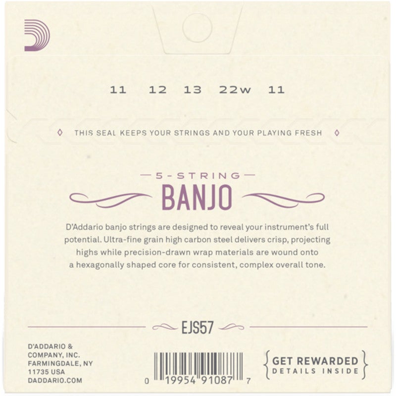 D'Addario EJS57 Stainless Steel Custom Medium 11-22 snaren voor vijfsnarige banjo