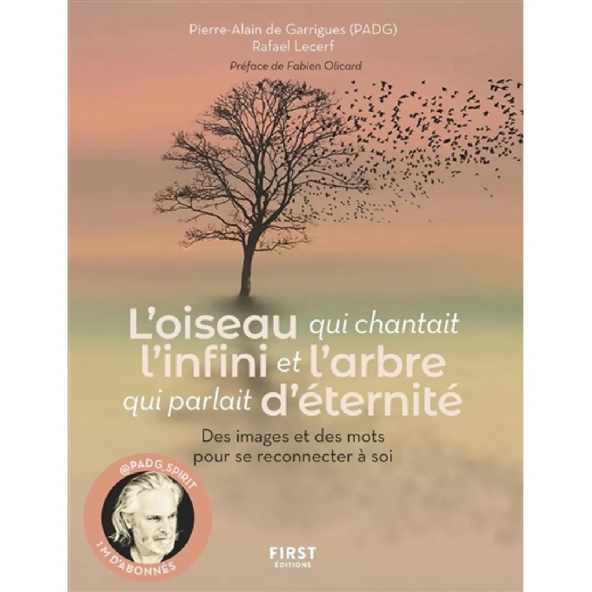 L'oiseau qui chantait l'infini et l'arbre qui parlait d'éternité : des images et des mots pour se reconnecter à soi · Occasion