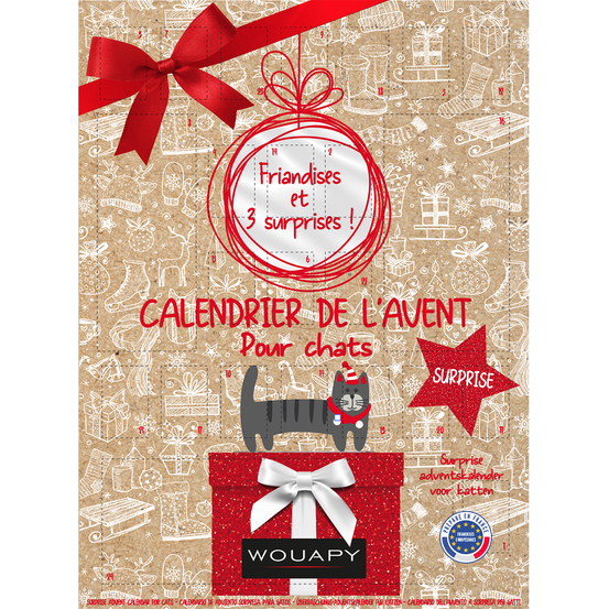 Calendrier de l'avent surprise pour chat