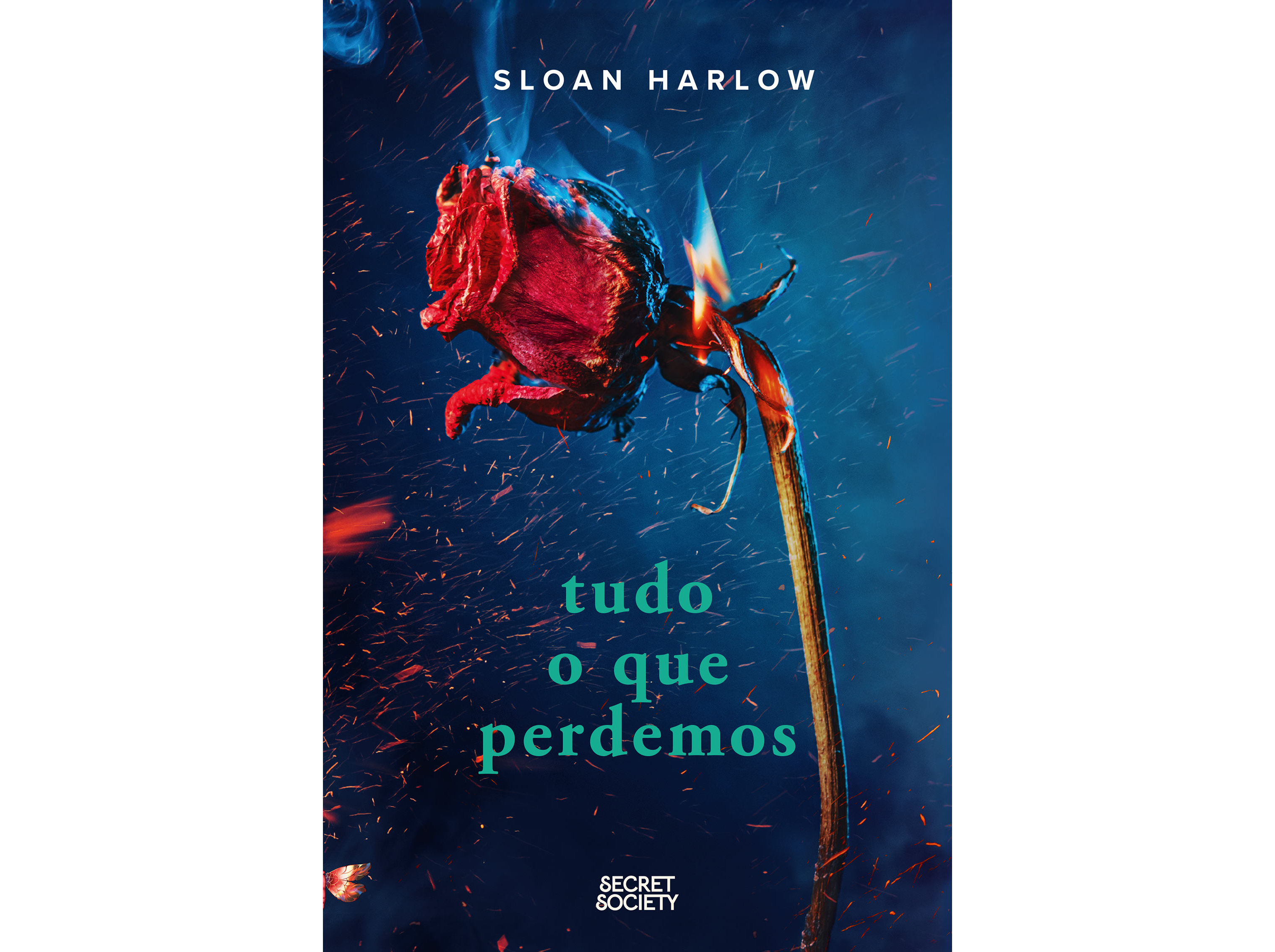 LIVRO TUDO O QUE PERDEMOS DE SLOAN HARLOW