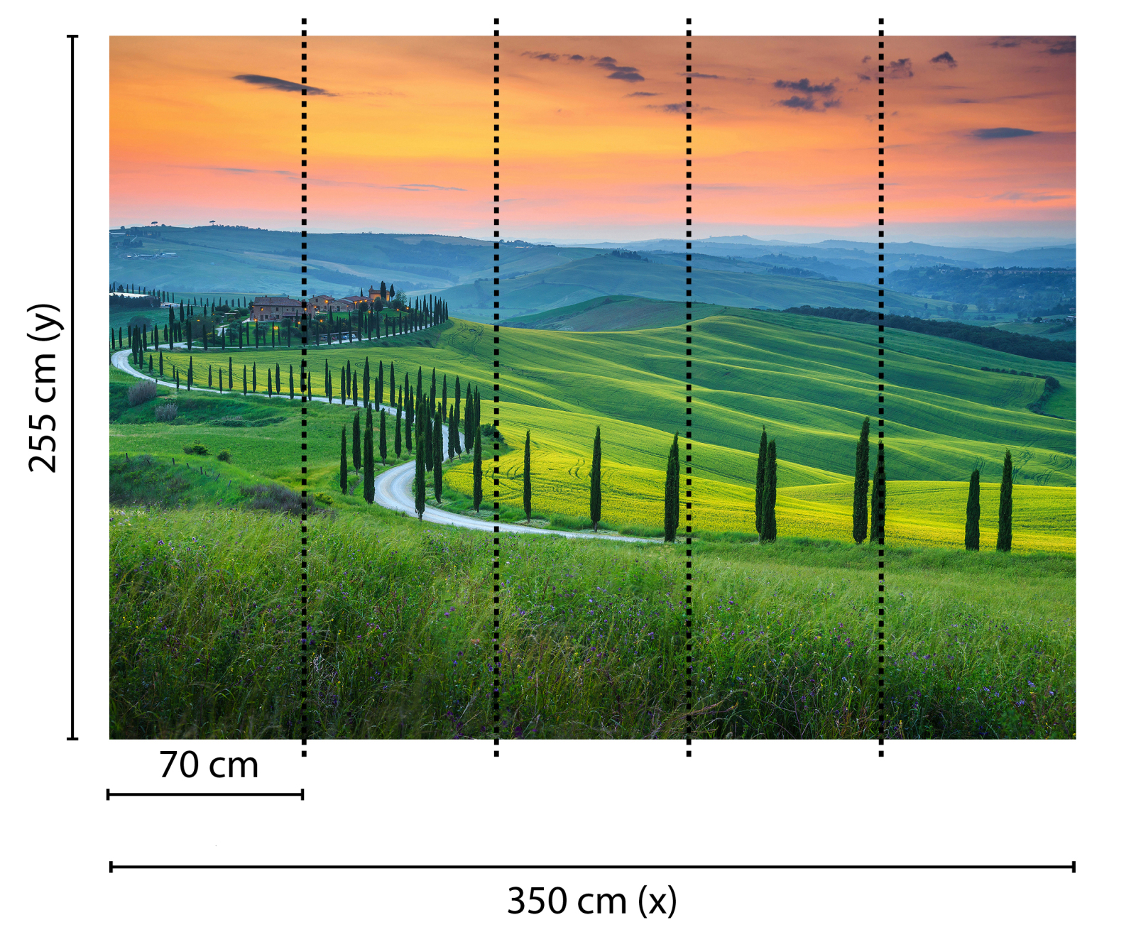 Fototapete DESIGNWALLS - grün-orange - Wiese - 2,55 Meter