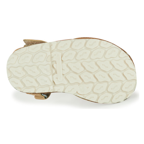 Citrouille et Compagnie - SQUOUBEL - Beige