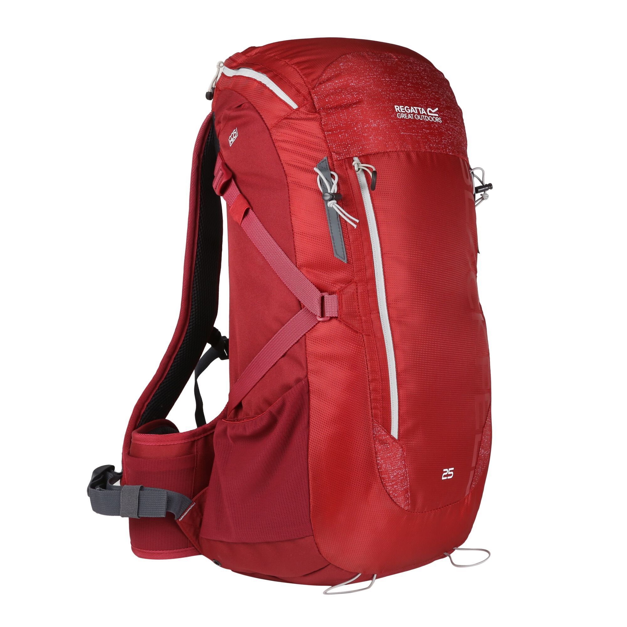 Mochila Regatta Blackfell III de 25 litros