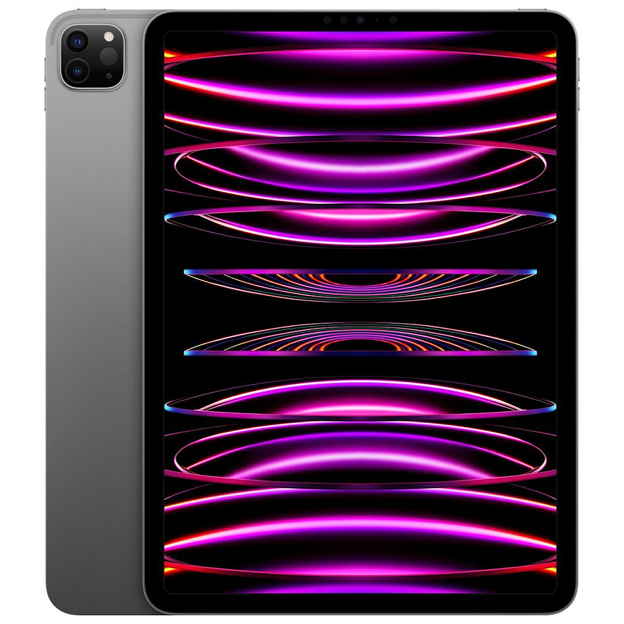 Apple iPad Pro 2022 11 pouces Wi-Fi - 512 Go - Gris sidéral