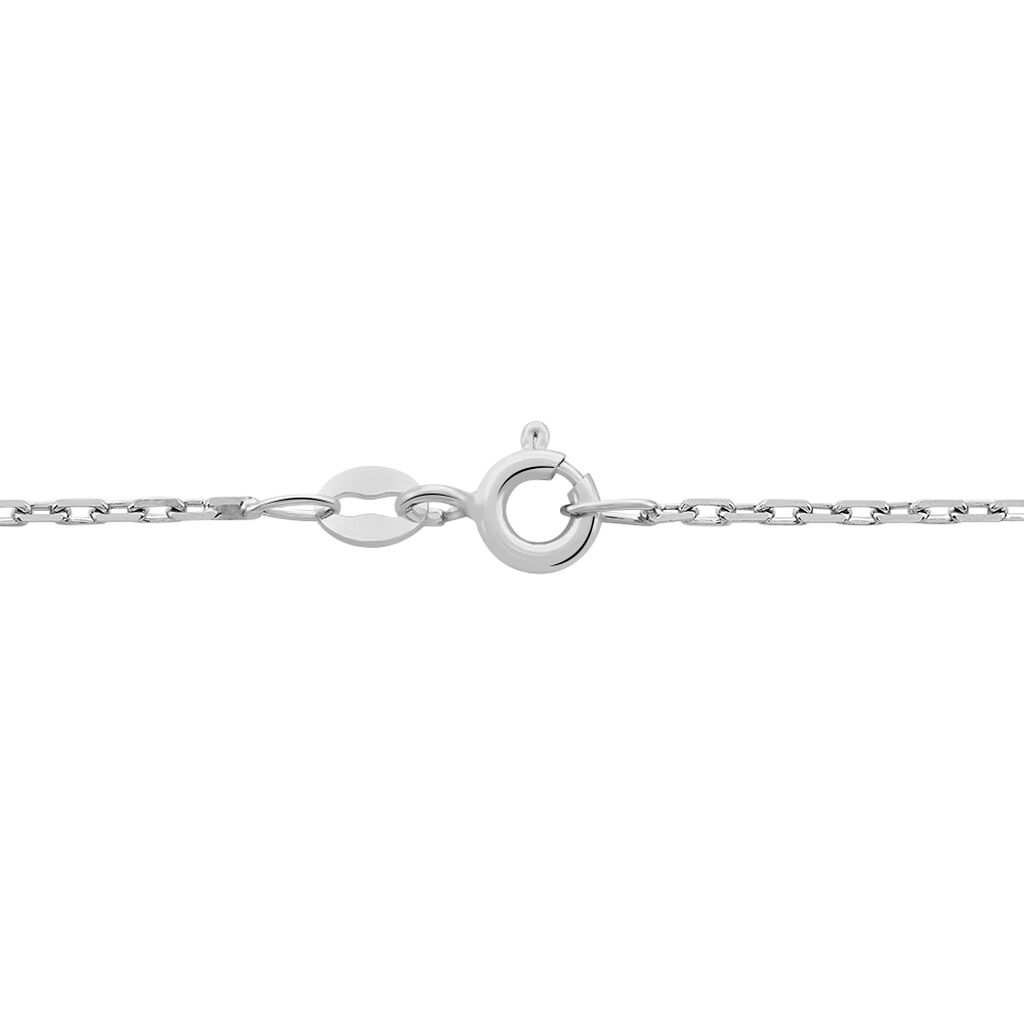 Chaîne Igoa Maille Forçat Diamantee Or Blanc