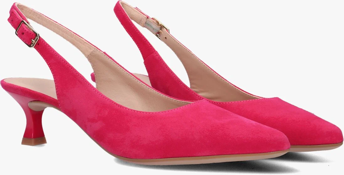 UNISA roze unisa  jamal