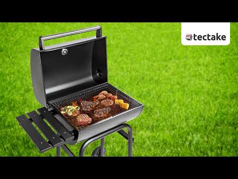 Holzkohlegrill