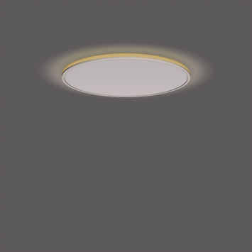 Philips plafonnière Ozziet wit 1x36W