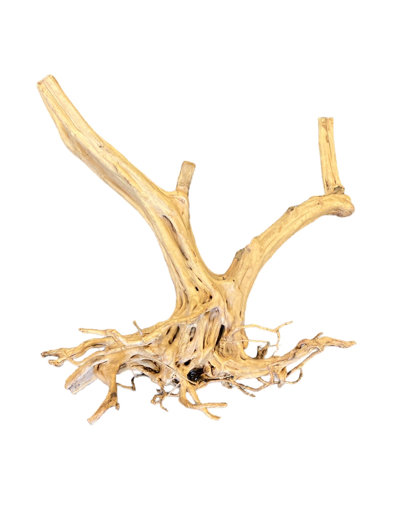AquastoreXL Boomstronk XXL 60 - 90 cm 4kg - NR4 | natuurlijk hout