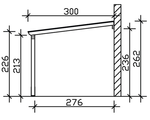 SKAN HOLZ Vogtland enkele carport met paalankers 300x541 cm naturel