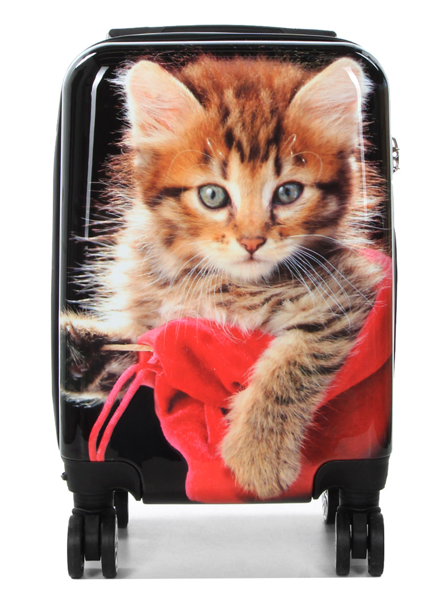 Ensemble 4 valises Madisson Chaton