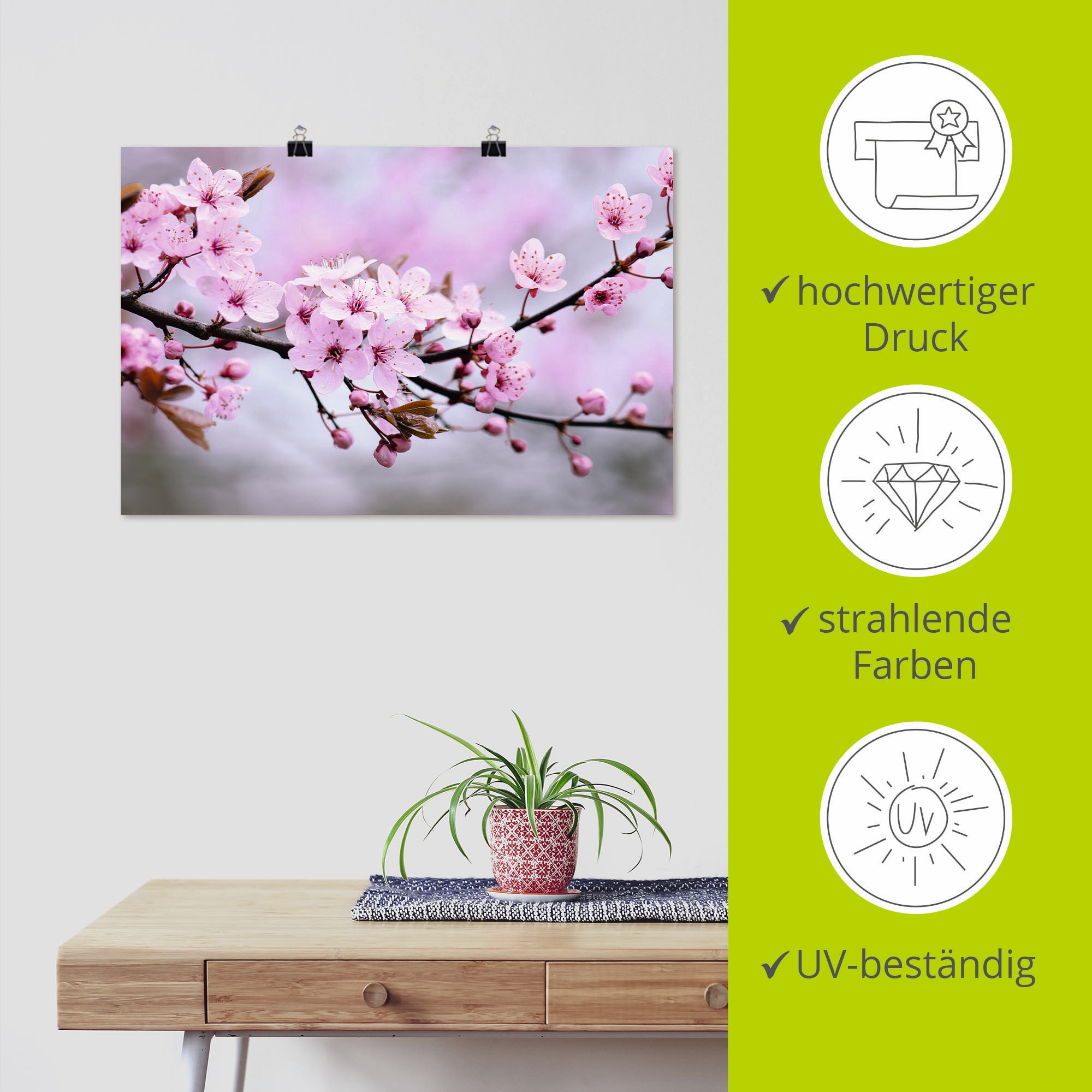 Artland Wandbild »Kirschblüten« Blumen 1 Stk. tlg. als Alubild, Outdoorbild, Leinwandbild, Poster, Wandaufkleber