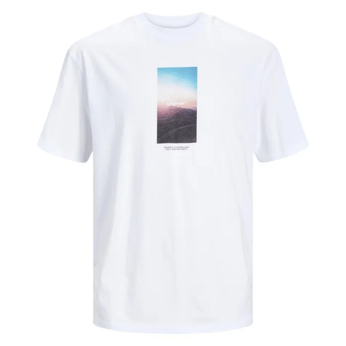 Jack & Jones Vesterbro Picture Shirt Heren (plussize)