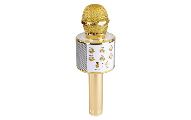 Mikrofon »MAX KM01G Gold«