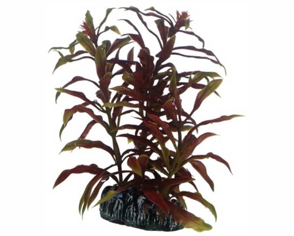 Hobby Plant Nesaea 13cm