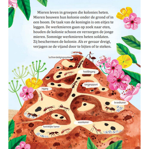 Uitgeverij rubinstein mijn gouden boekje over insecten