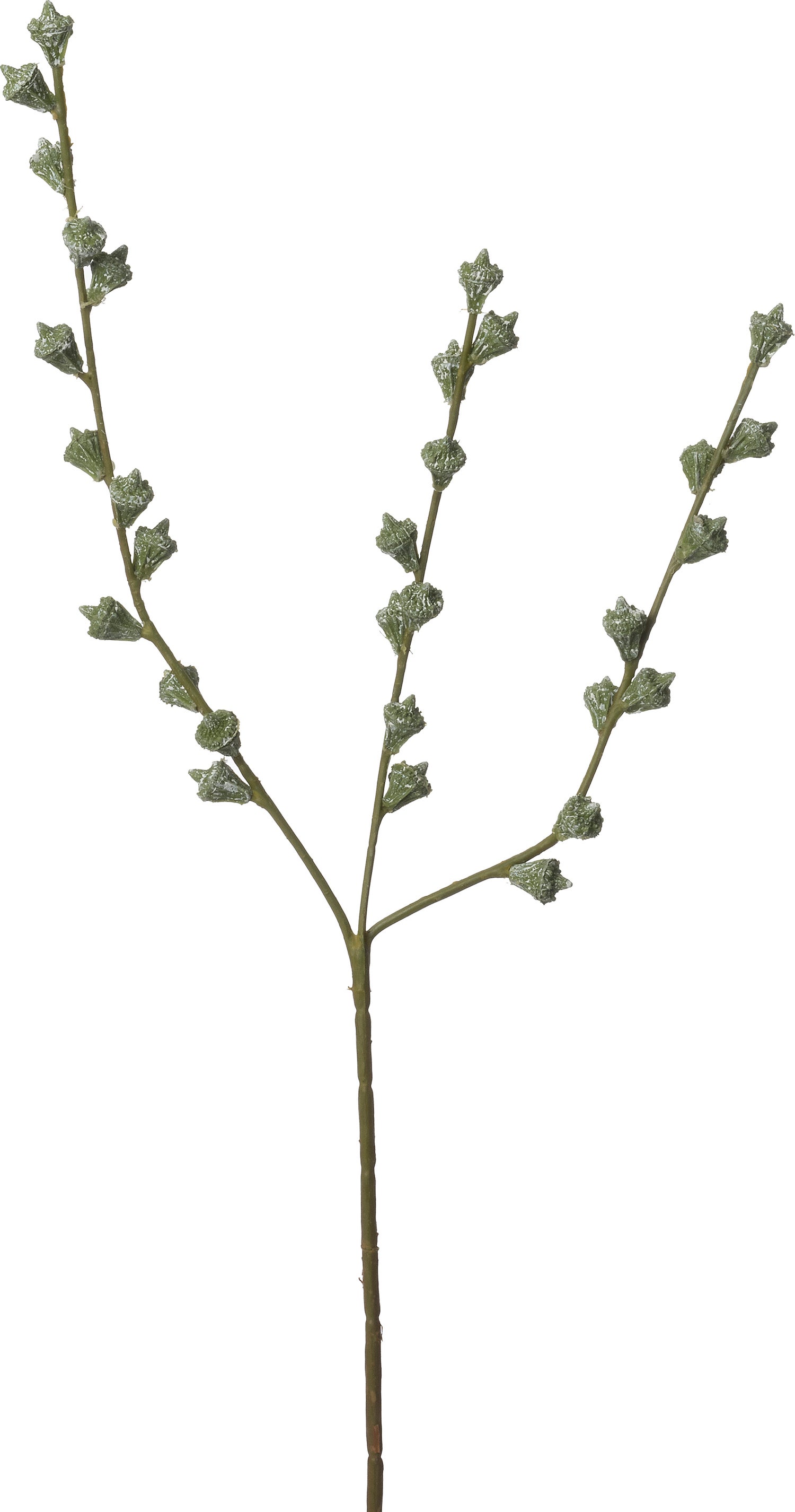 Intratuin kunsttak Eucalyptus zaden groen 60 cm
