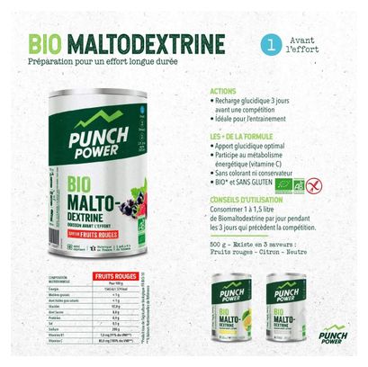 Punch Power Biomaltodextrine 500 g - Citron