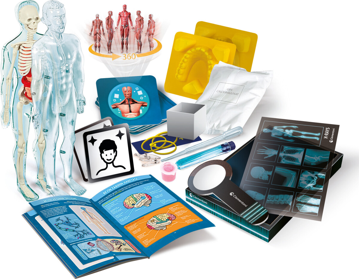 Clementoni - Anatomi Legesæt - Anatomy Lab - Science & Play