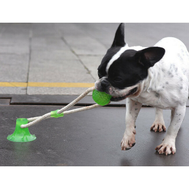 Jouet de traction pour chien avec corde et ventouse Tracks