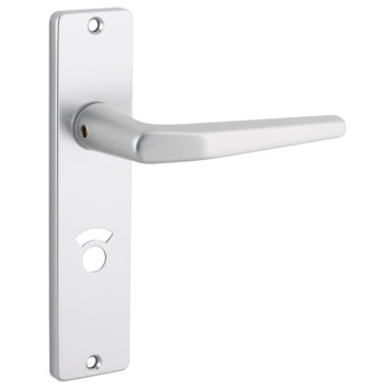 KARWEI insteekslot badkamerslot/wc-slot compleet met deurschild Doorn 50mm PC 63mm