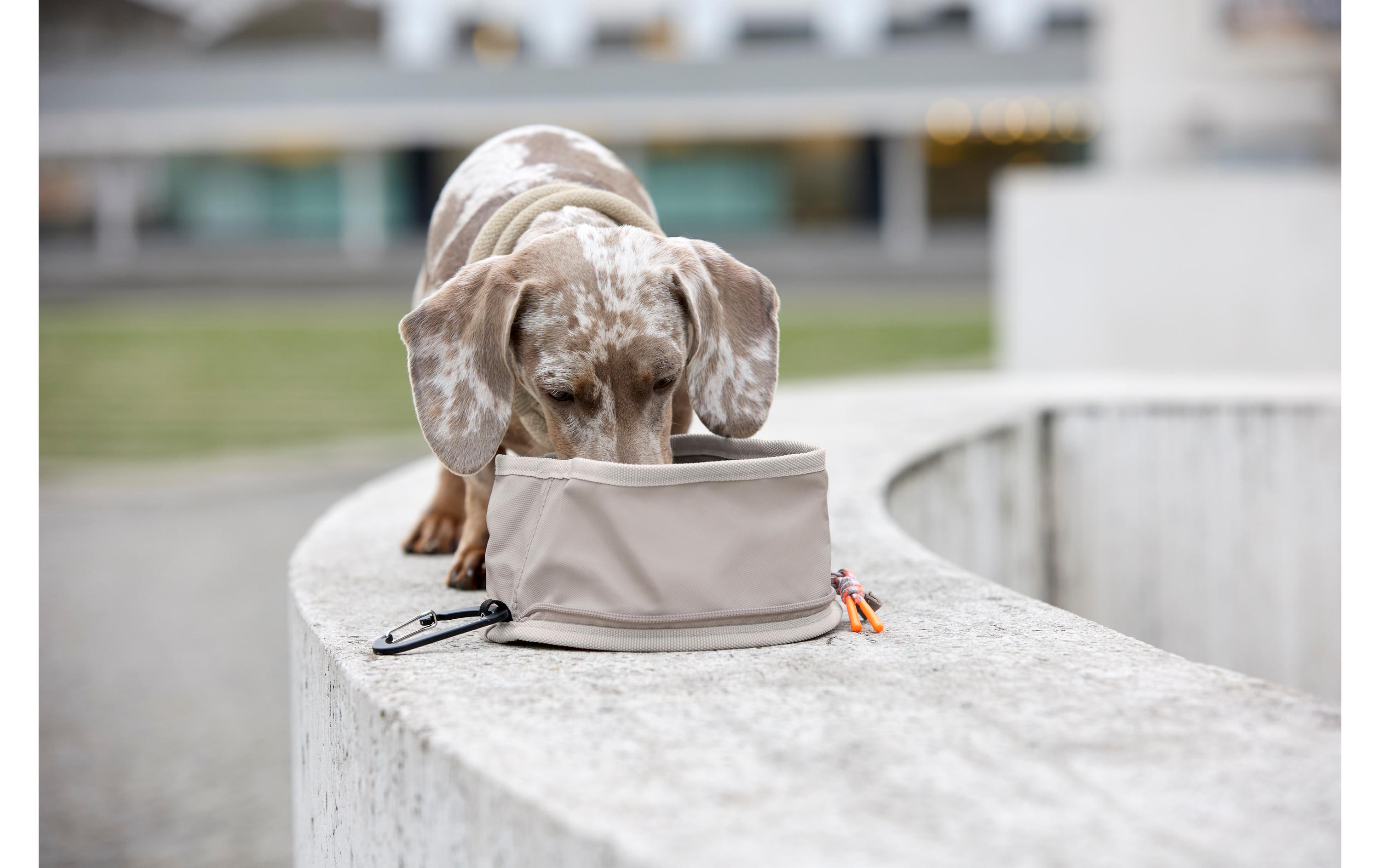 Reisenapf Dog Bowl To Go Tura AnthrazitHundenapf für unterwegs