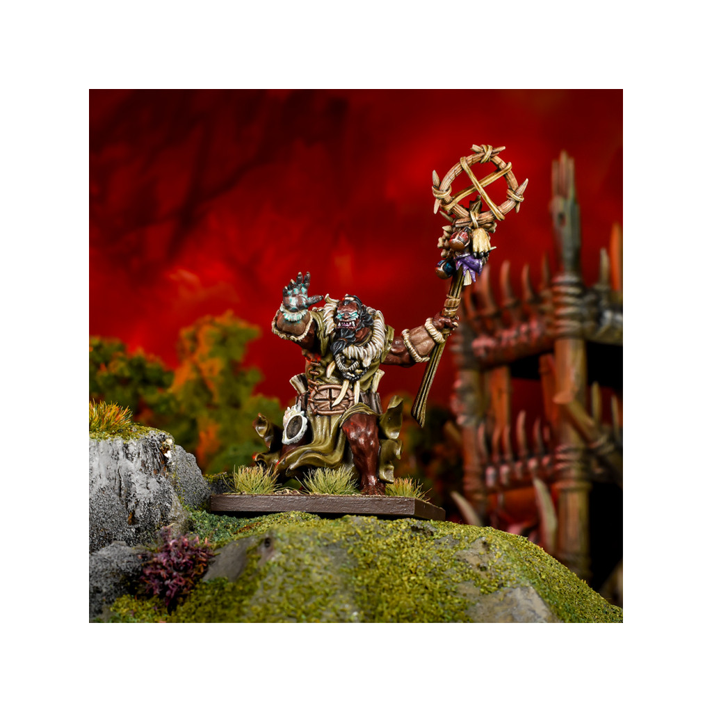 Kings of War - Chamane Ogre