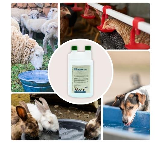 Hidropure - Mantém a água potável dos seus animais limpa - Recipientes para água sempre limpos - 1 L