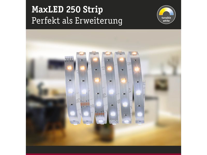 Paulmann LED-Stripe MaxLED 250 Tunable White, 1 m Verlänger Unbeschichteter LED-Streifen mit variabler Farbtemperatur, kürzbar