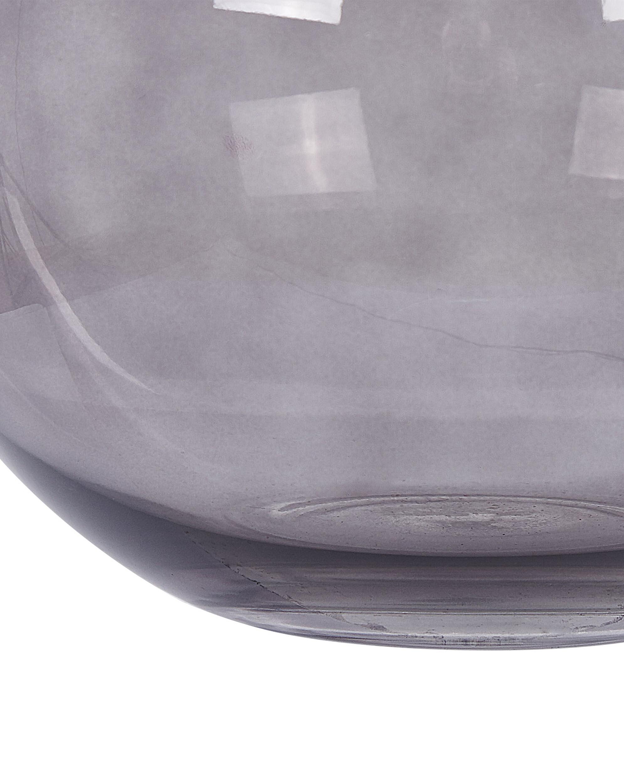 Bloemenvaas POLYDROSOS Glas 22 cm Grijs