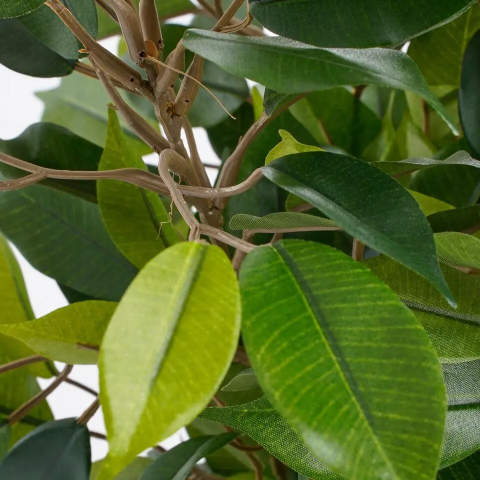 Mica Decorations Kunstplant Ficus - groen - 40 cm - voor binnen