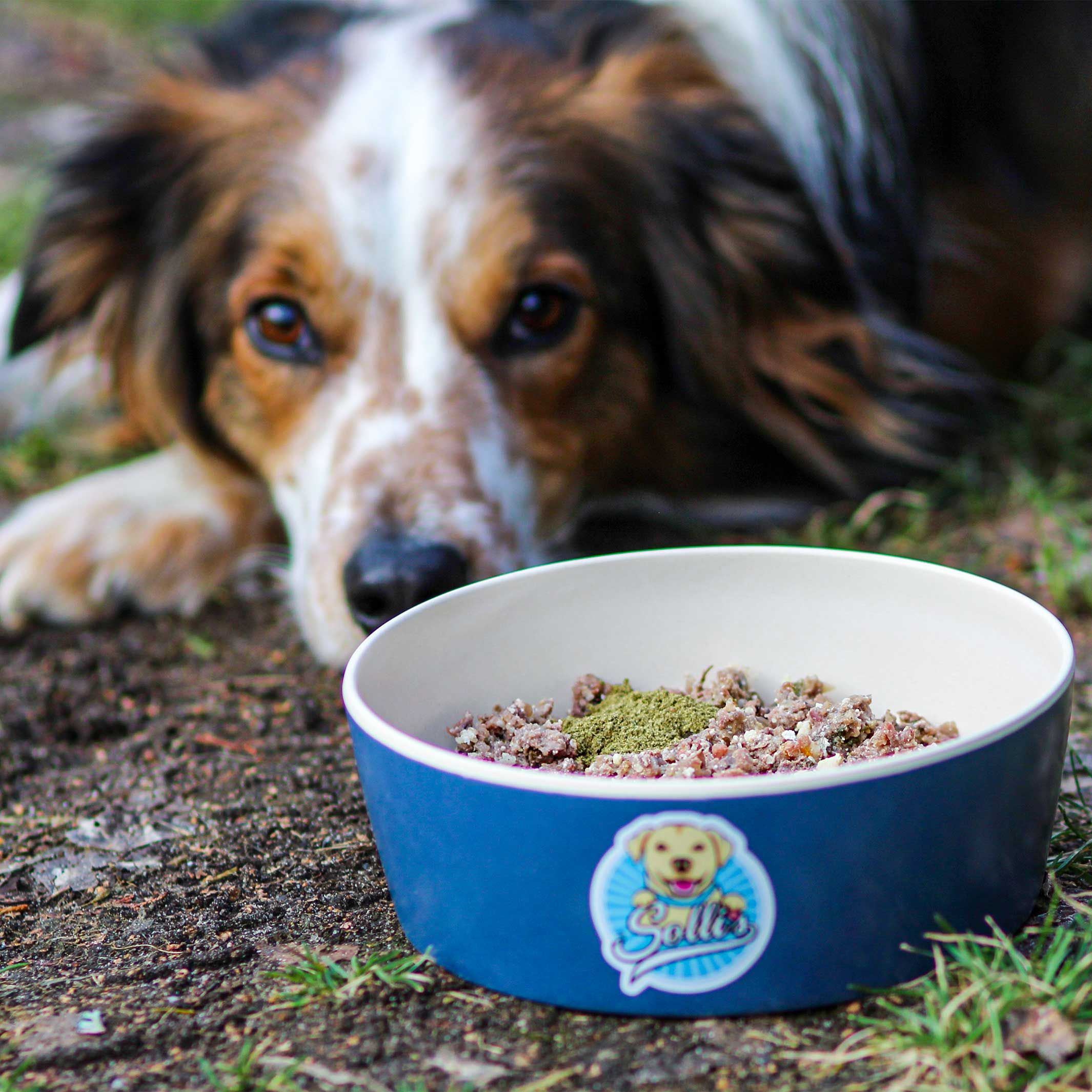 Sollis Kräuterliebe – Magenruhe für Hunde