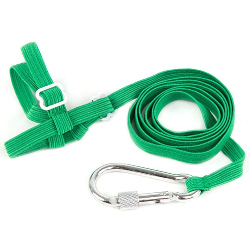 Coleira com guia TK-Pet para agapornis