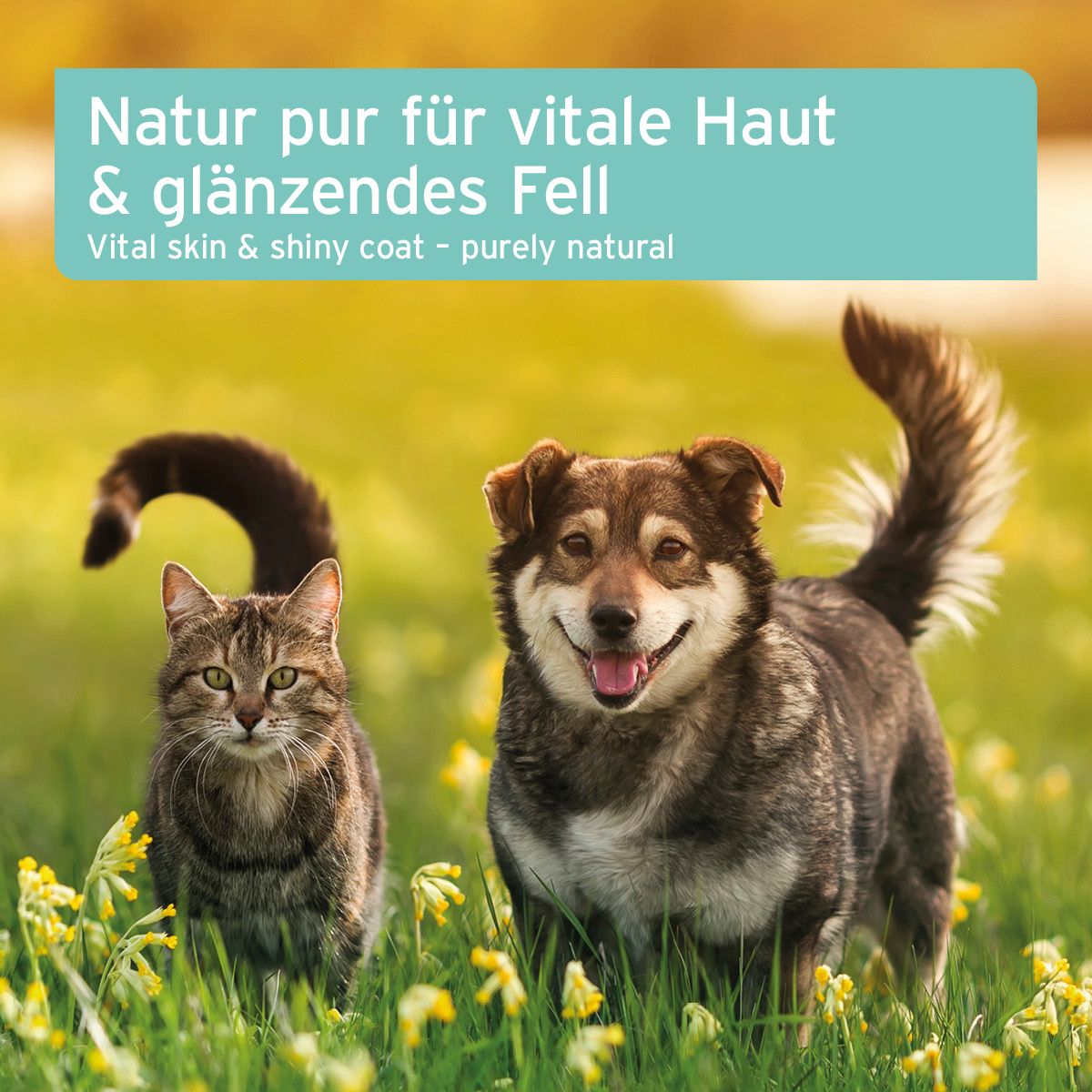 AniForte Fellharmonie Futteröl