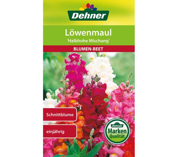 Dehner Samen Löwenmaul 'Halbhohe Mischung'