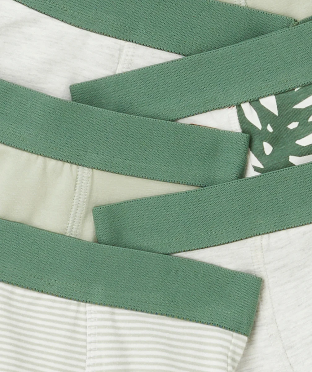 lot de 7 boxers garçon en coton biologique gris et vert thème jungle