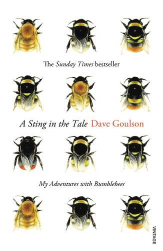 A Sting in the Tale: My Adventures with Bumblebees (Paperback)